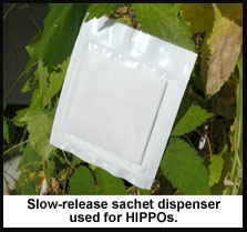 Slow-release sachet photo.