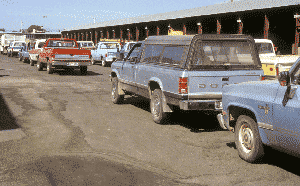 Trucks lined up in Yakima